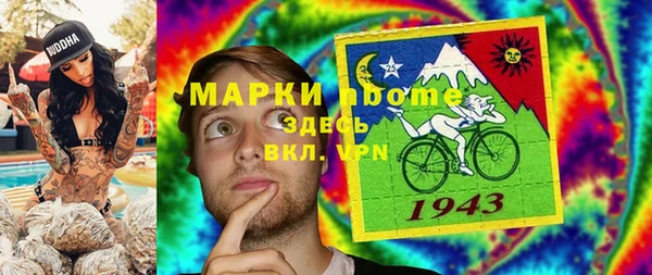 ECSTASY Бородино