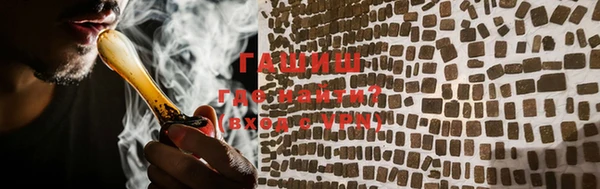 ECSTASY Бородино