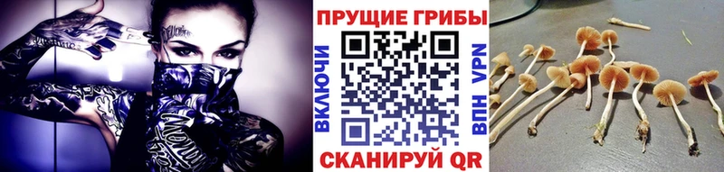 KRAKEN сайт Новотроицк Псилоцибиновые грибы прущие грибы