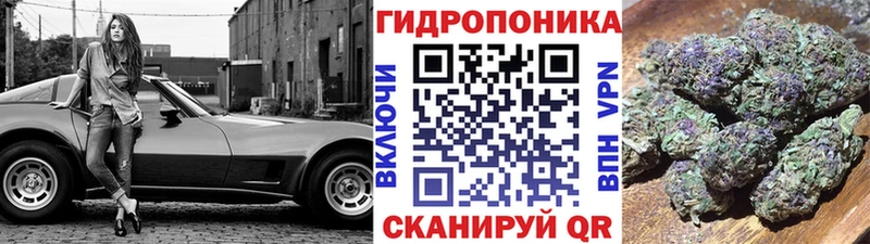 мориарти клад  дарнет шоп  Новотроицк  МАРИХУАНА AK-47 
